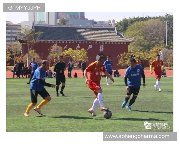 英超球迷张秀英深度解析足球魅力与战术智慧分享