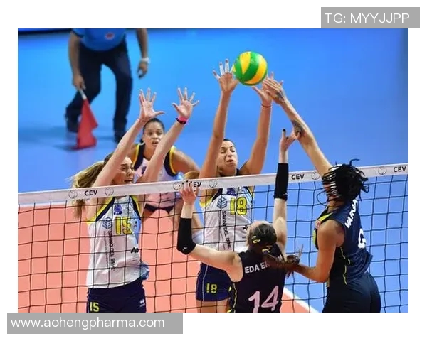 上海排球队在奥运会中的节奏表现与欧冠足球的精彩对比分析