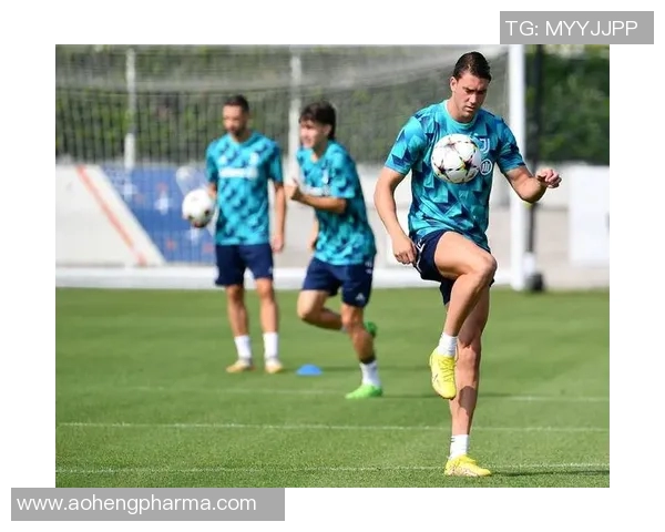 北京足球队在耐力欧冠足球赛中的表现与挑战分析