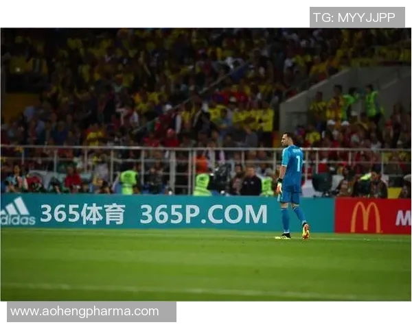 杭州羽毛球队进攻表现分析与欧冠足球战术对比探讨