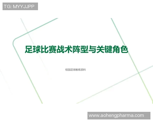 深圳足球队配合分析与欧冠足球战术的深度探讨