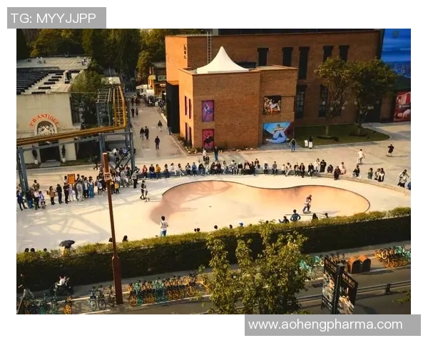 成都滑板队配合引发热议运动滑板背后的争议与挑战