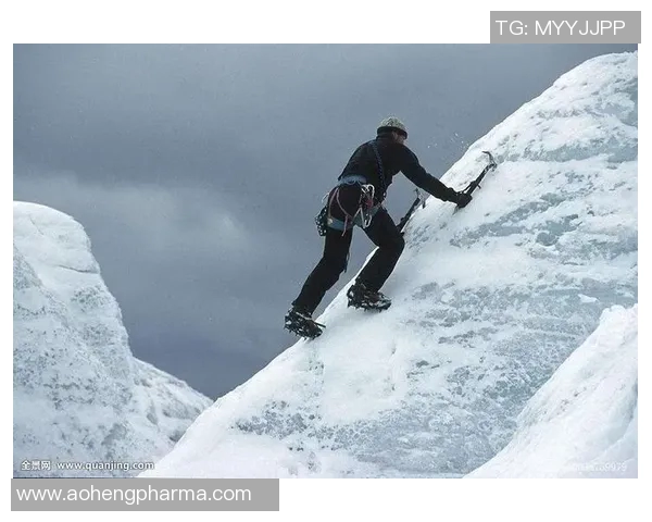 深度揭秘重庆极限运动队运营模式与发展策略的全景分析