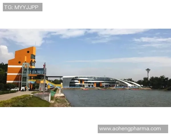 上海网球队锦标赛个人能力表现全面分析与点评