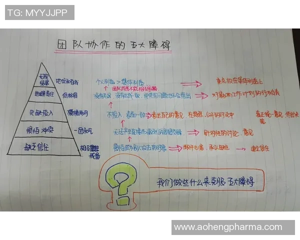 赛后复盘北京篮球队与上海篮球队的团队协作与战术分析